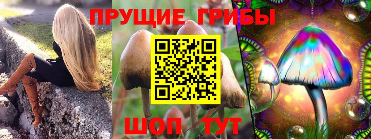 Псилоцибиновые грибы GOLDEN TEACHER Наро-Фоминск